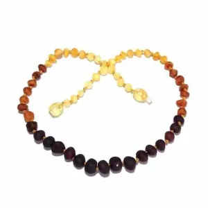 Child Ombre Raw Rainbow Baltic Amber Necklace