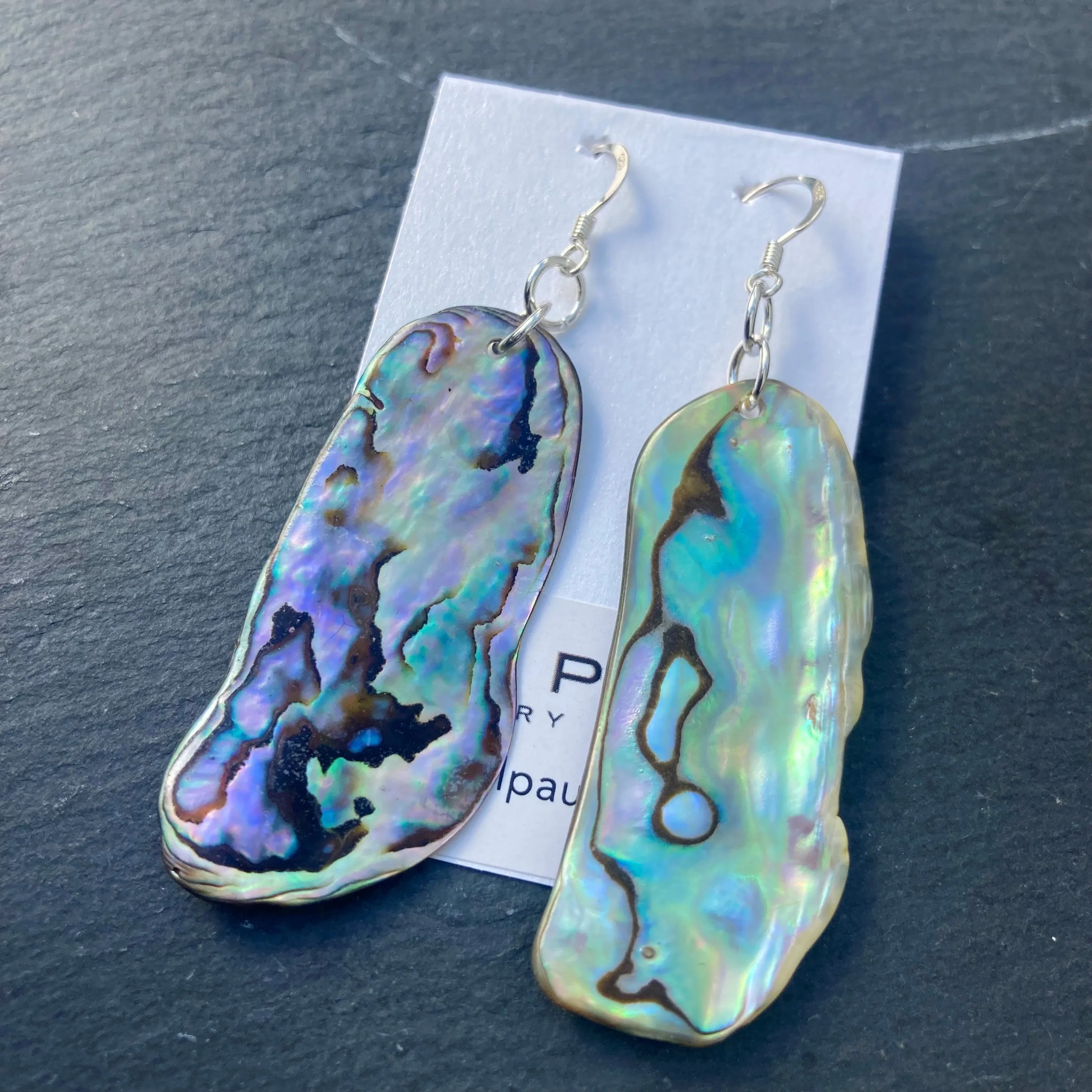 Natural shaped Paua Shell  Earrings - by Mhairi Sim - Girl Paua